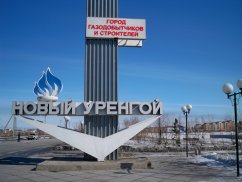 Веб-студия СайтФирмы - создание сайтов в Новом Уренгое от 9900р