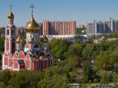 Веб-студия СайтФирмы - создание сайтов в Одинцово от 9900р